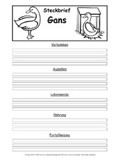 Steckbriefvorlage-Gans.pdf